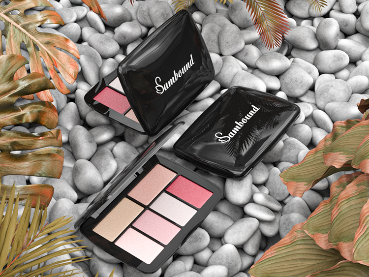 化妝品包裝供應(yīng)商加工眼影盤 化妝品包裝供應(yīng)商加工眼影盤